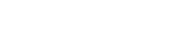 The Mechanic